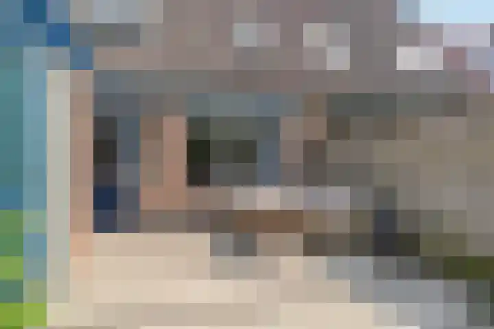 Koolmees 58 Ridderkerk thumbnail 27