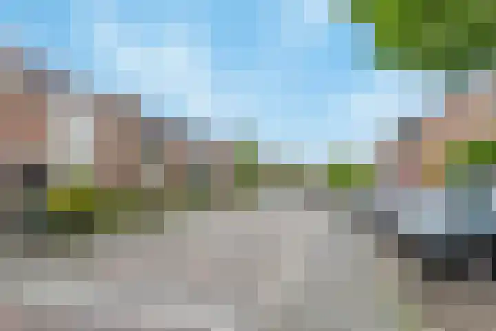 Koolmees 58 Ridderkerk thumbnail 29