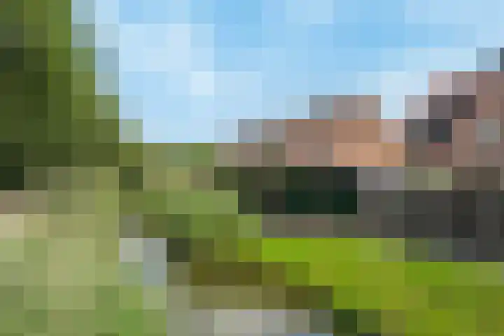 Koolmees 58 Ridderkerk thumbnail 30