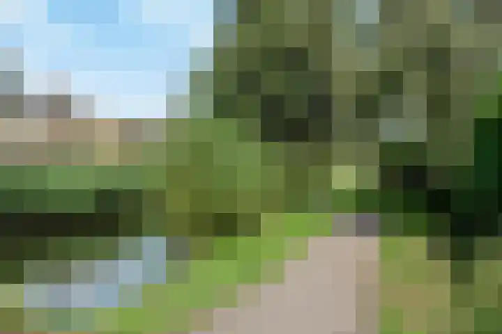 Koolmees 58 Ridderkerk thumbnail 31