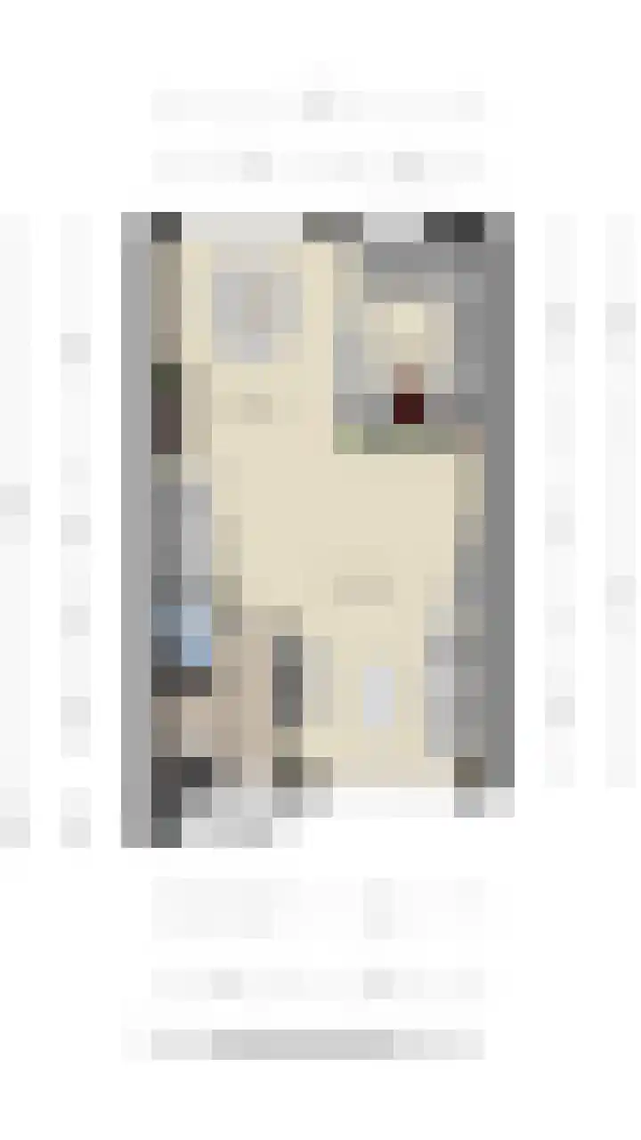 Koolmees 58 Ridderkerk thumbnail 33