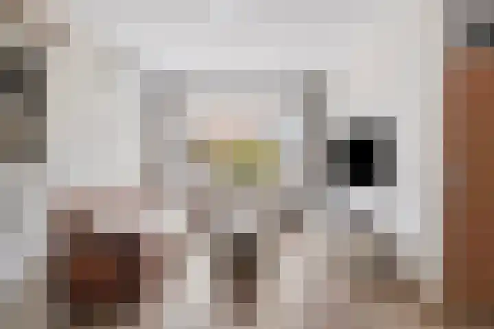 Koolmees 58 Ridderkerk thumbnail 4