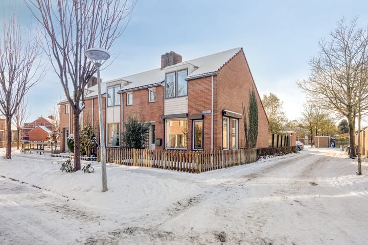 Koolmees 59 in Hoorn foto