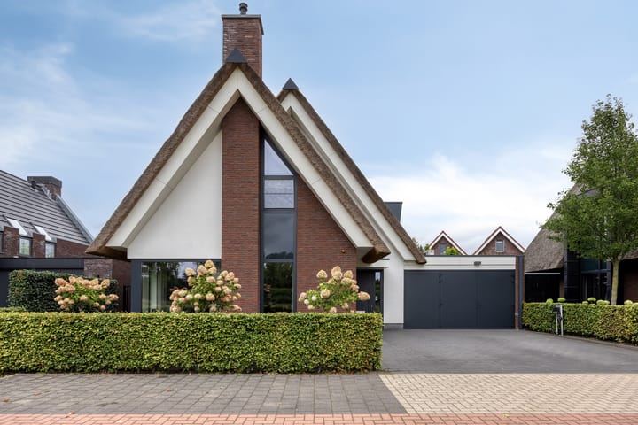 Koolmees 6 in Mierlo