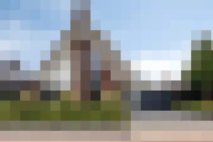 Koolmees 6 Mierlo