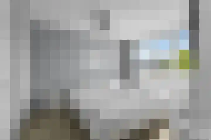 Koolmees 62 Ridderkerk thumbnail 10