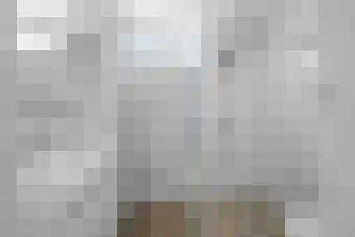 Koolmees 62 Ridderkerk thumbnail 12
