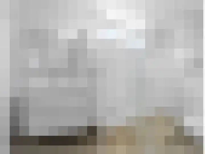 Koolmees 62 Ridderkerk thumbnail 13