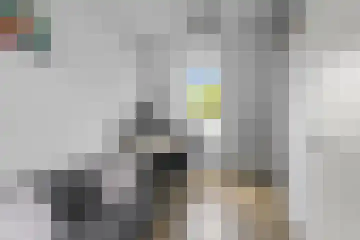 Koolmees 62 Ridderkerk thumbnail 16