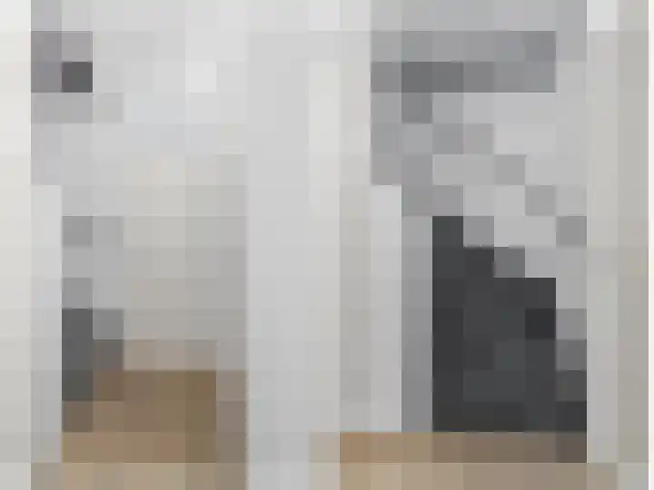 Koolmees 62 Ridderkerk thumbnail 17