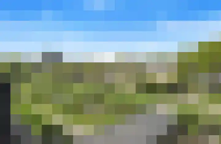 Koolmees 62 Ridderkerk thumbnail 22