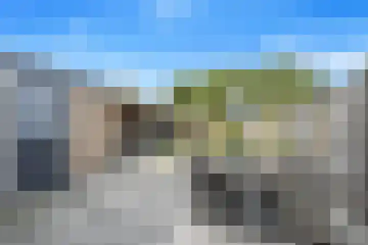 Koolmees 62 Ridderkerk thumbnail 24