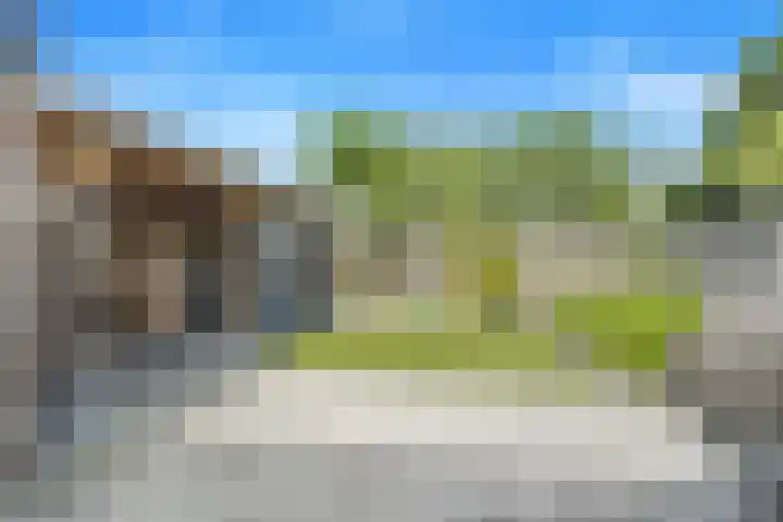 Koolmees 62 Ridderkerk thumbnail 25