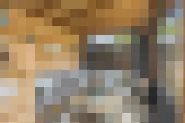Koolmees 62 Ridderkerk thumbnail 27