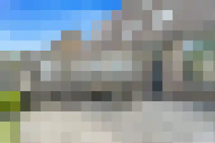 Koolmees 62 Ridderkerk thumbnail 28