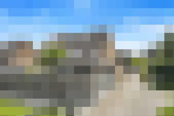 Koolmees 62 Ridderkerk thumbnail 29