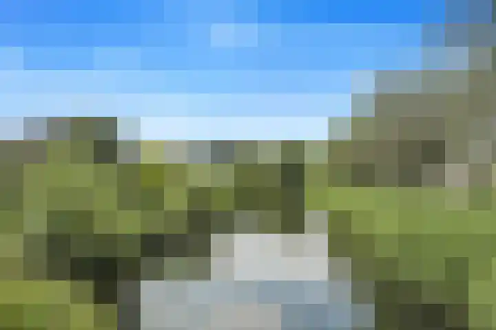 Koolmees 62 Ridderkerk thumbnail 30