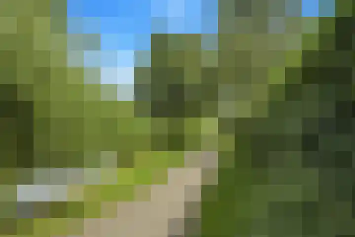 Koolmees 62 Ridderkerk thumbnail 31