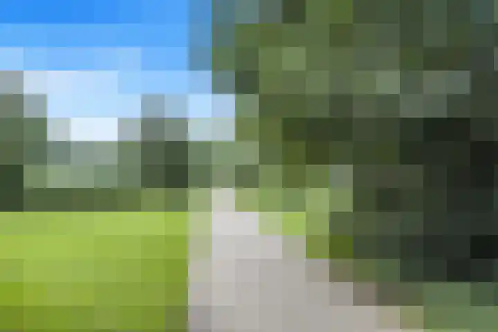 Koolmees 62 Ridderkerk thumbnail 32