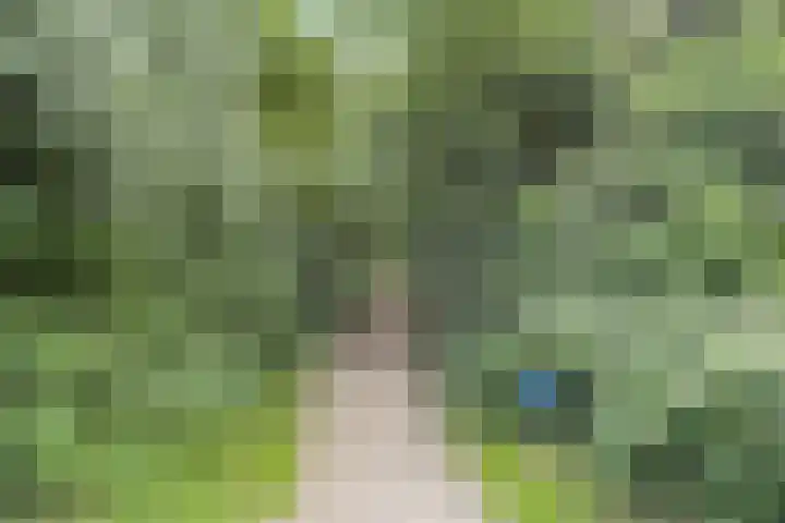 Koolmees 62 Ridderkerk thumbnail 33