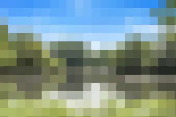 Koolmees 62 Ridderkerk thumbnail 34