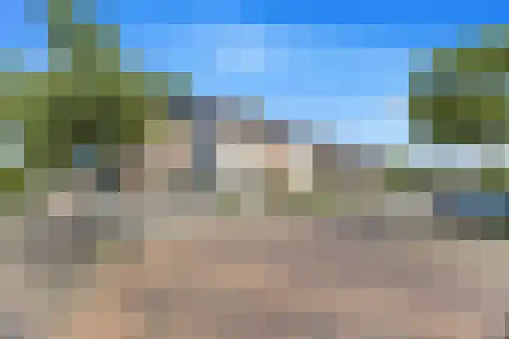 Koolmees 62 Ridderkerk thumbnail 35