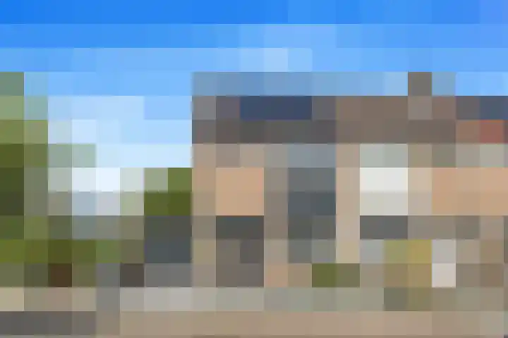 Koolmees 62 Ridderkerk thumbnail 39