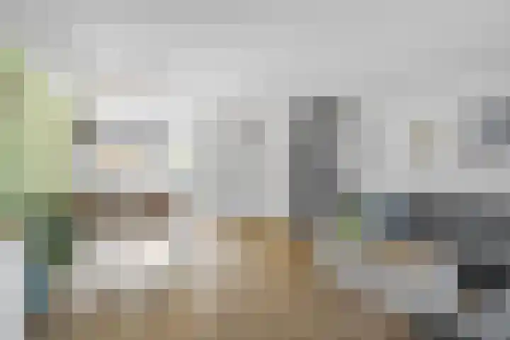 Koolmees 62 Ridderkerk thumbnail 4