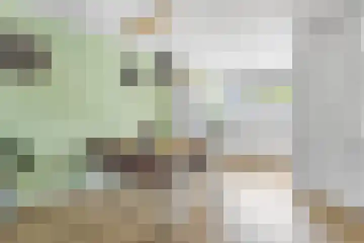 Koolmees 62 Ridderkerk thumbnail 5