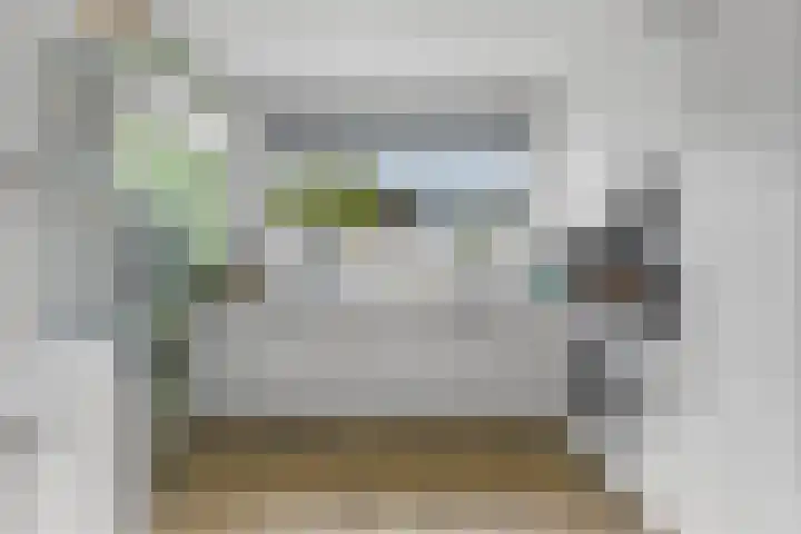 Koolmees 62 Ridderkerk thumbnail 6