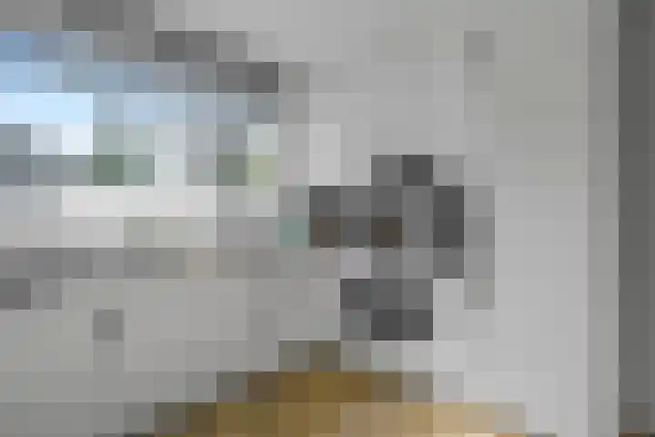Koolmees 62 Ridderkerk thumbnail 7