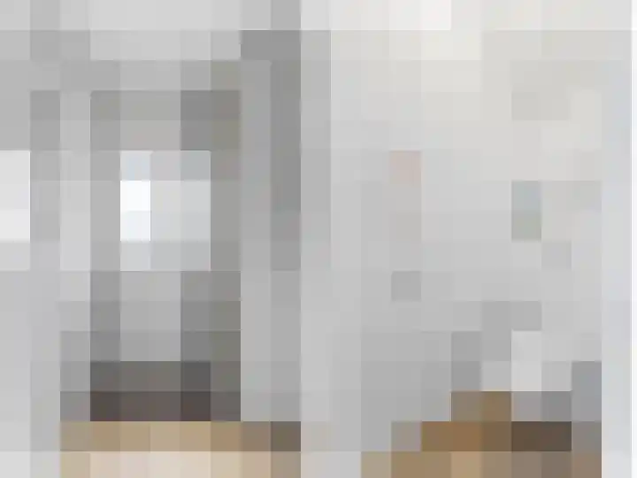 Koolmees 62 Ridderkerk thumbnail 8