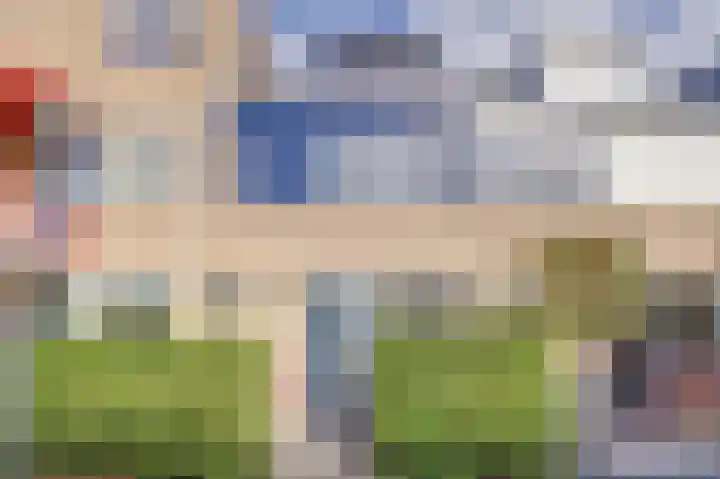 Koolmees 7 De Lier