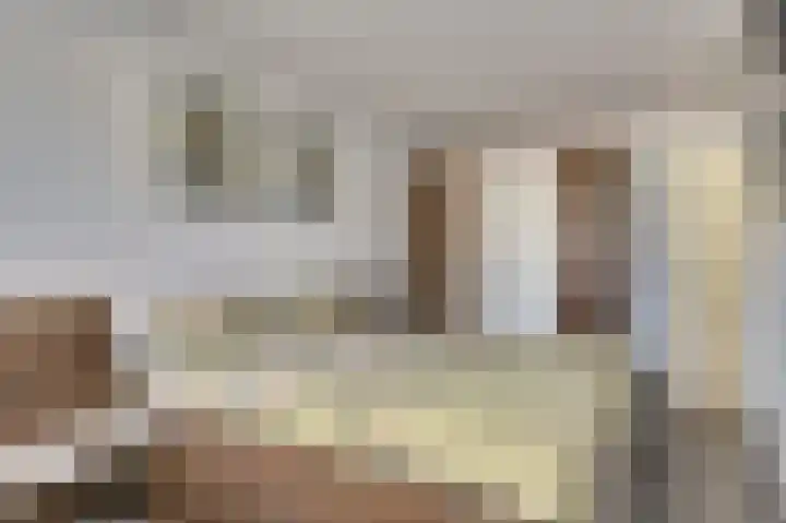 Koolmees 7 De Lier thumbnail 16