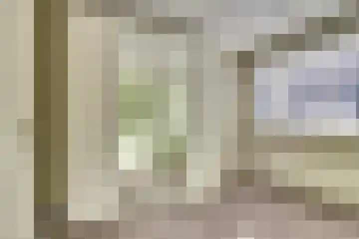 Koolmees 7 De Lier thumbnail 17