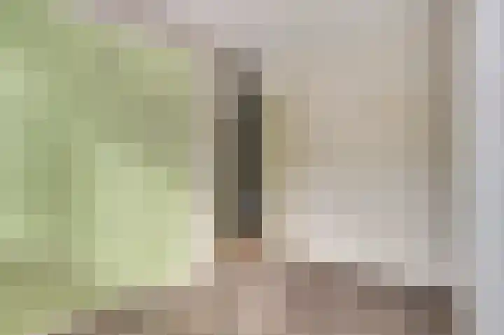 Koolmees 7 De Lier thumbnail 18