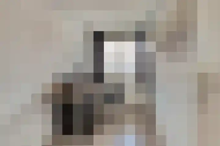 Koolmees 7 De Lier thumbnail 20