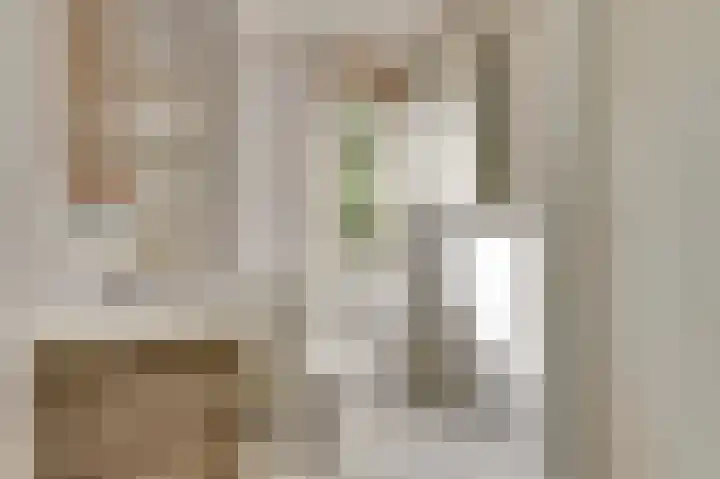 Koolmees 7 De Lier thumbnail 21