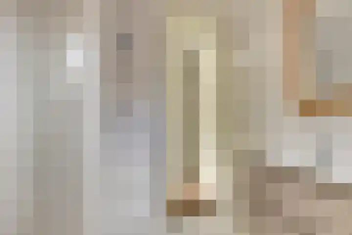 Koolmees 7 De Lier thumbnail 22