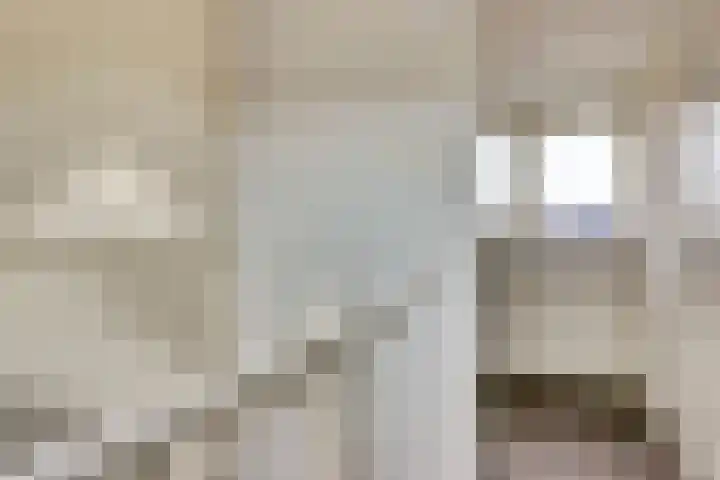 Koolmees 7 De Lier thumbnail 23