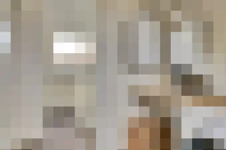 Koolmees 7 De Lier thumbnail 25