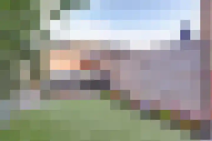 Koolmees 7 De Lier thumbnail 29