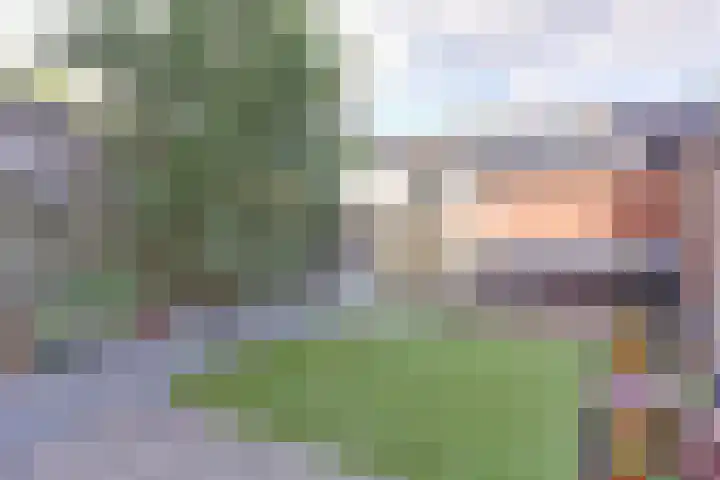 Koolmees 7 De Lier foto 3