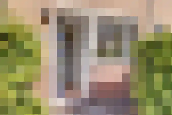 Koolmees 7 De Lier thumbnail 33