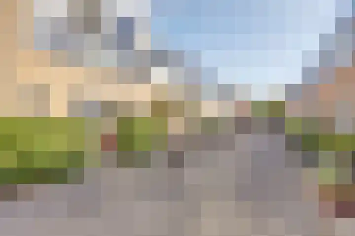 Koolmees 7 De Lier thumbnail 34