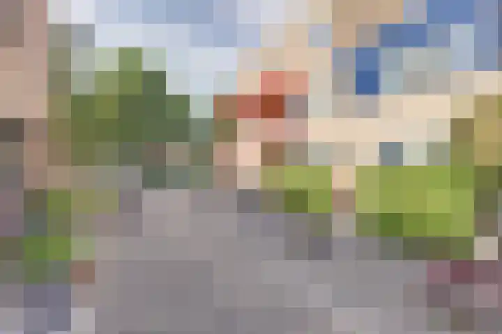 Koolmees 7 De Lier thumbnail 35