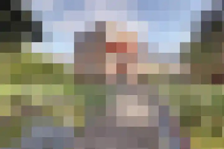 Koolmees 7 De Lier thumbnail 36