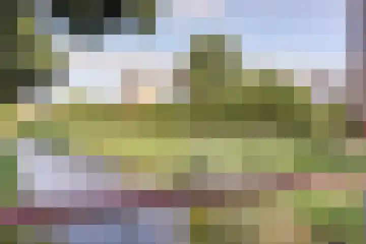 Koolmees 7 De Lier thumbnail 37