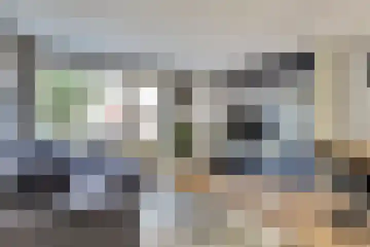 Koolmees 7 De Lier thumbnail 4