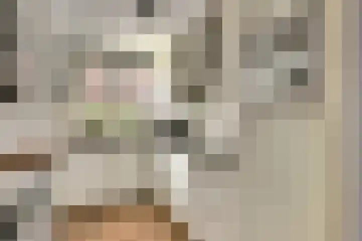 Koolmees 7 De Lier thumbnail 5